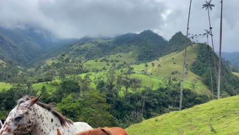 Zwei-Wunderschöne-Kolumbianische-Pferde-Im-Cocora-Tal