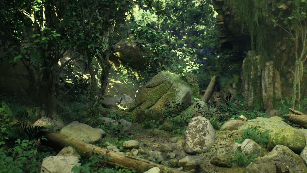 Hidden oasis in lush greenery surrounded by rocks and fallen logs