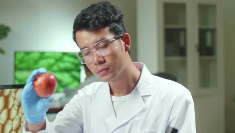 close up botanist man looking at apple,  working in agriculture laboratory
