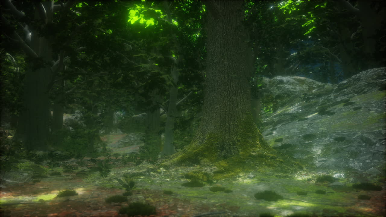 primer plano, verde, musgo, en, árbol, en, el, bosque