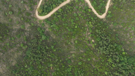 Ruta-De-Senderismo-En-Un-Bosque-A-Lo-Largo-De-Un-Lago-Toma-Aérea-Vertical-Francia-Saint-Cassien