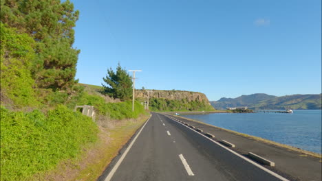 Dunedin,-New-Zealand---A-Picturesque-Journey-to-Otago-Peninsula---POV