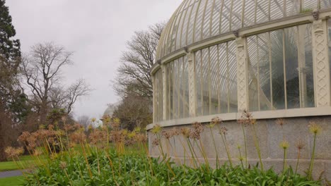 Invernadero-De-Jardines-Botánicos-En-Glasnevin,-Dublín,-Irlanda---Jardines-Botánicos-Nacionales