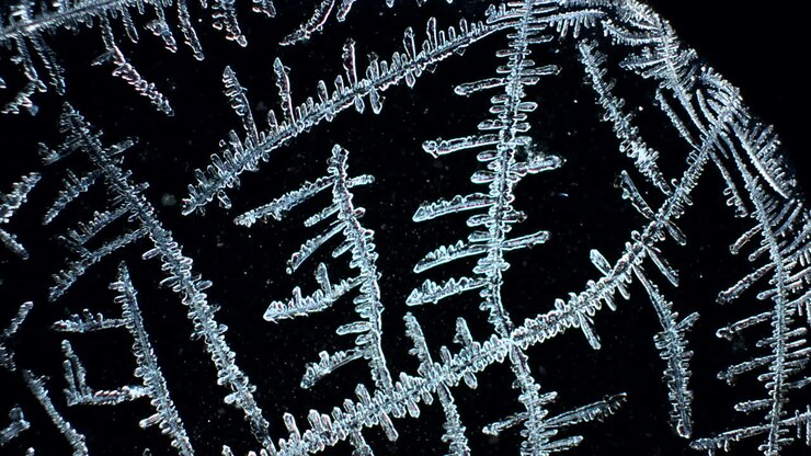 Close-up of Intricate Ice Crystals on a Dark Background