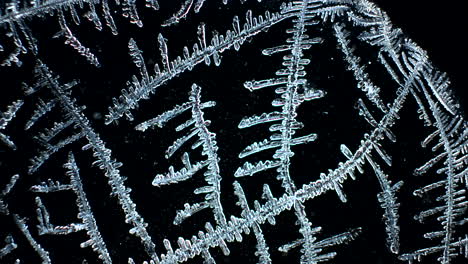 close-up of intricate ice crystals on a dark background