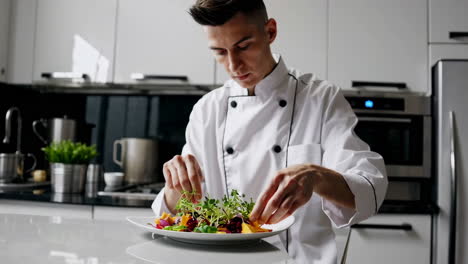 chef preparando una ensalada saludable