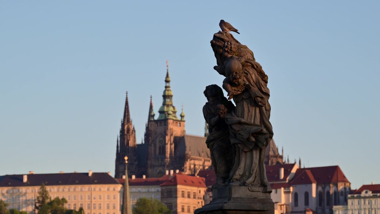 Un piccione appollaiato su una statua barocca sul Ponte Carlo con la Cattedrale di San Vito dietro all'alba, Praga, Repubblica Ceca.