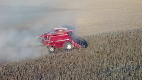 Eine-Luftdrohne-Schwenkt-Etwa-Eine-Stunde-Vor-Sonnenuntergang-Um-Einen-Roten-Mähdrescher-Herum,-Der-Sojabohnen-Auf-Einem-Großen-Staubigen-Feld-Pflückt