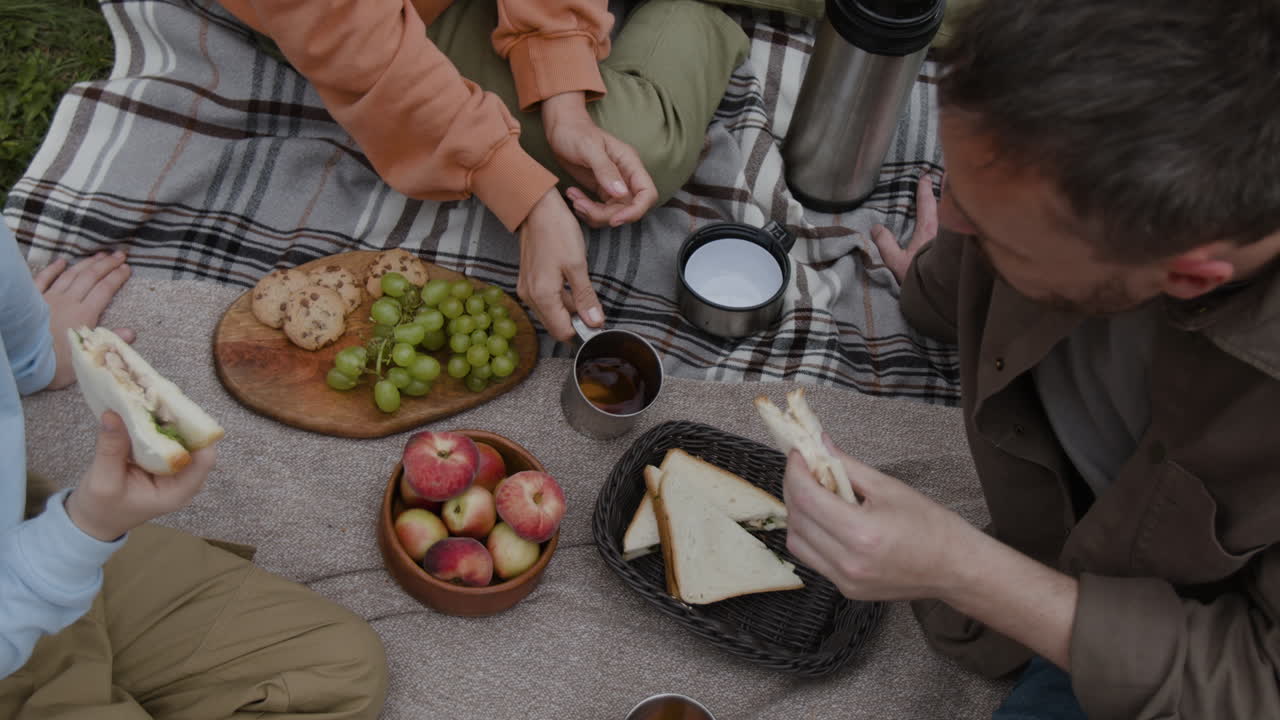Family picnic outdoors with sandwiches and fruit
