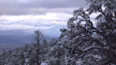 Disparo-De-Lapso-De-Tiempo-De-árboles-Cubiertos-De-Nieve-Y-El-Paisaje-En-Las-Montañas-De-Sierra-Nevada-Sierras-Cerca-Del-Monte-Whitney-California-1