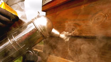 beekeeper using bee smoker