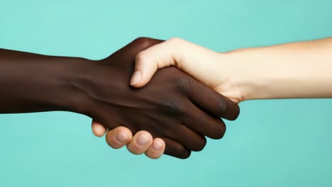 professional businesspeople performing friendly handshake against vibrant turquoise background, representing multicultural cooperation and mutual respect between diverse individuals