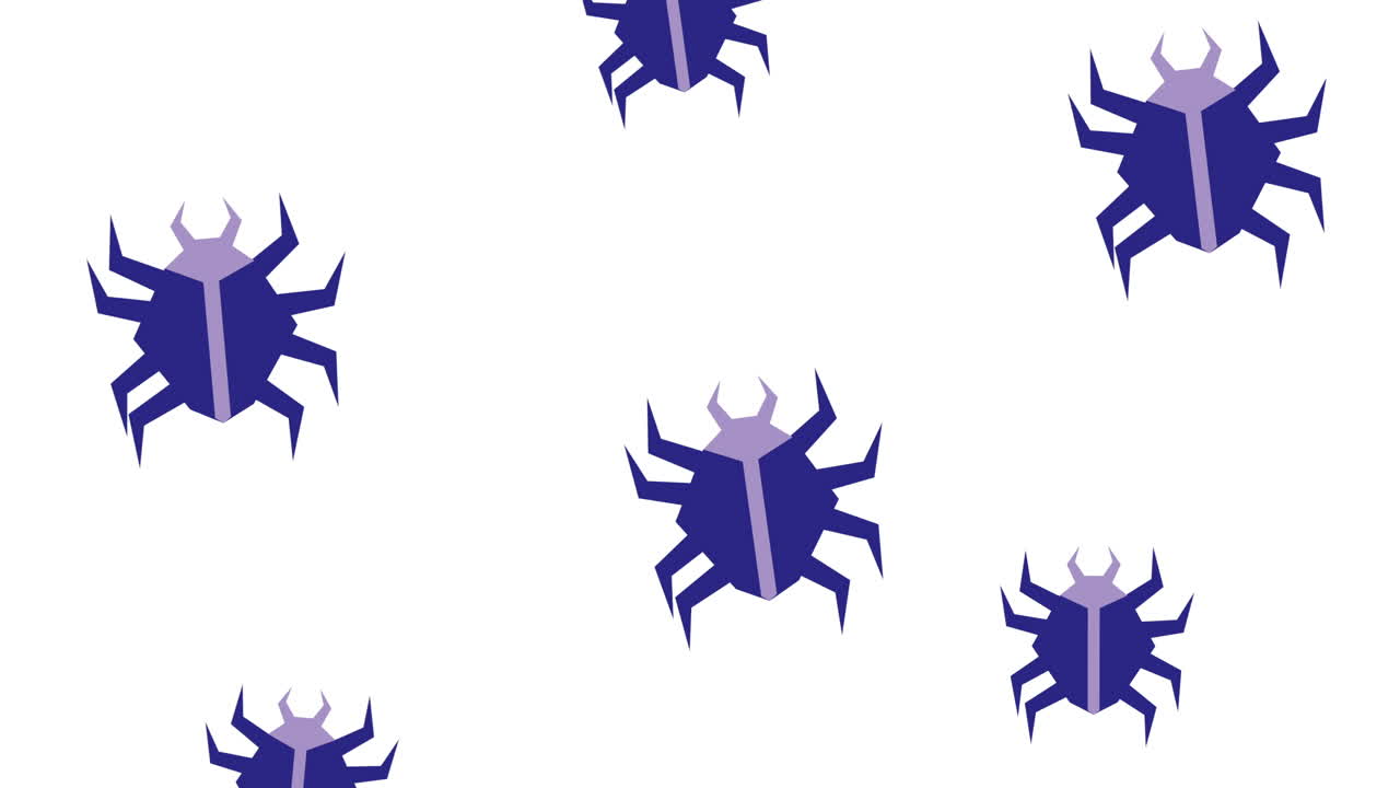 animali ragni modello di sicurezza informatica