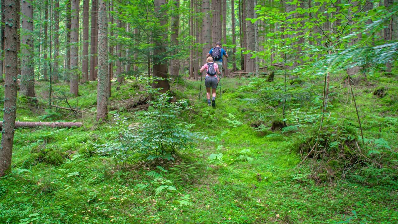 Closed forest trail with high difficulty of trekking. Topla Valley, Crna na Koroskem, Slovenia