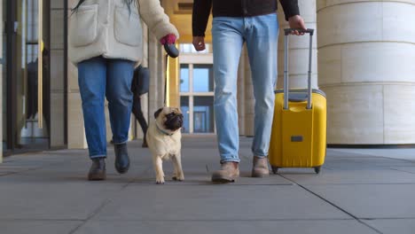 fotografía recortada de una pareja diversa caminando fuera del edificio del aeropuerto con una maleta y un perro pug en la correa