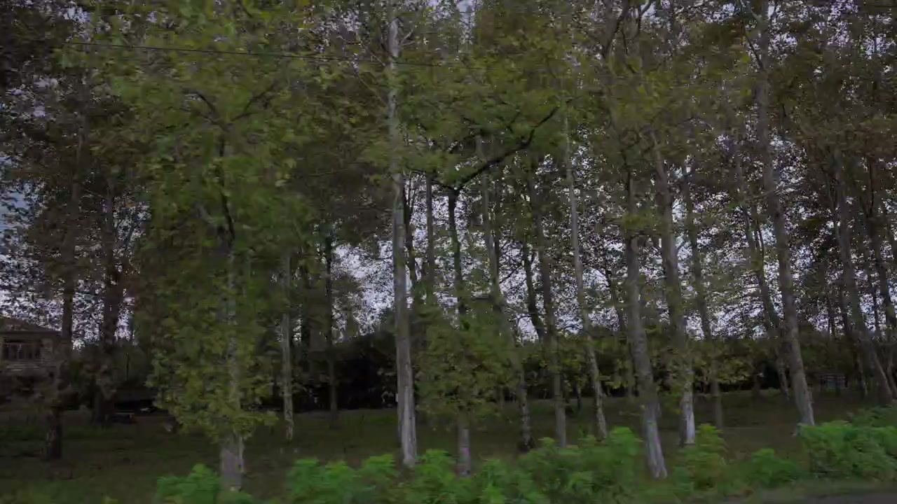 Driving by rural village between the trees