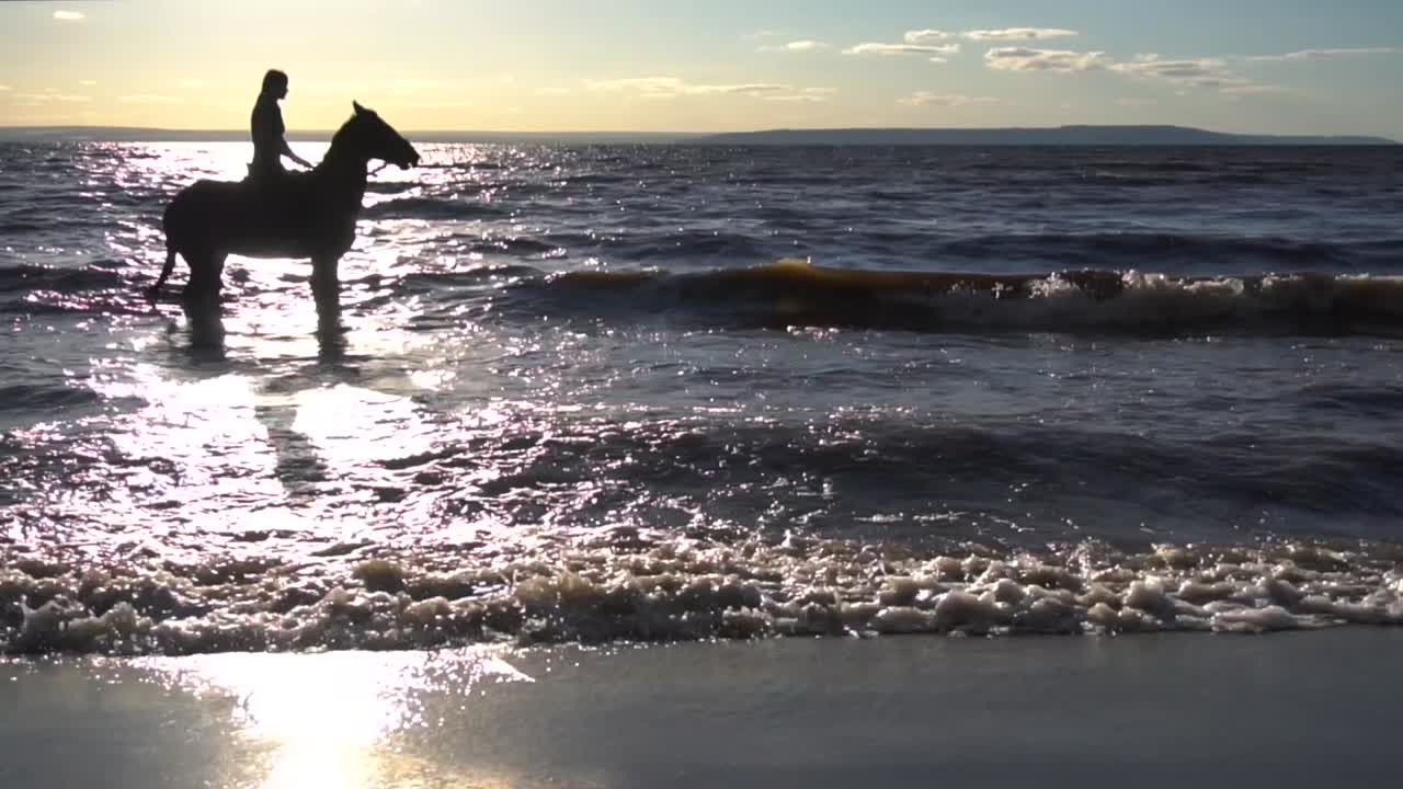 cavalo a cavalgar para o pôr-do-sol