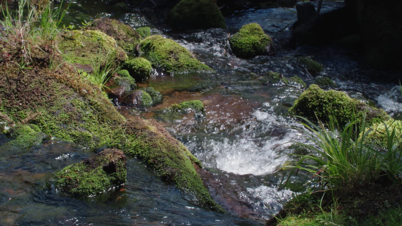 Serene Stream Flowing Through Mossy Rocks