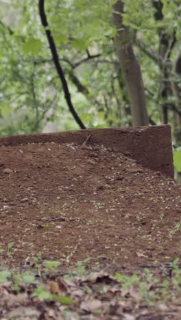 Nahaufnahme-Eines-Vertikalen-Videos-Eines-Mannes-Auf-Einem-Mountainbike,-Der-In-Der-Luft-Auf-Einem-Feldweg-Durch-Den-Wald-Springt