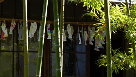 famous carp flyers for children's day in japan