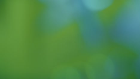 fondo verde y azul borroso, fondo abstracto de bokeh de movimiento