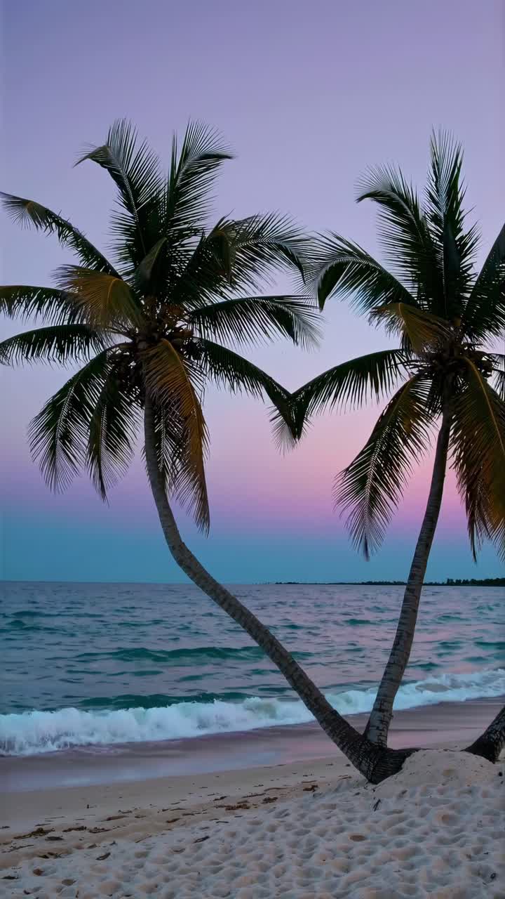 Serene beach scene with two palm trees at sunset, captured from a low angle