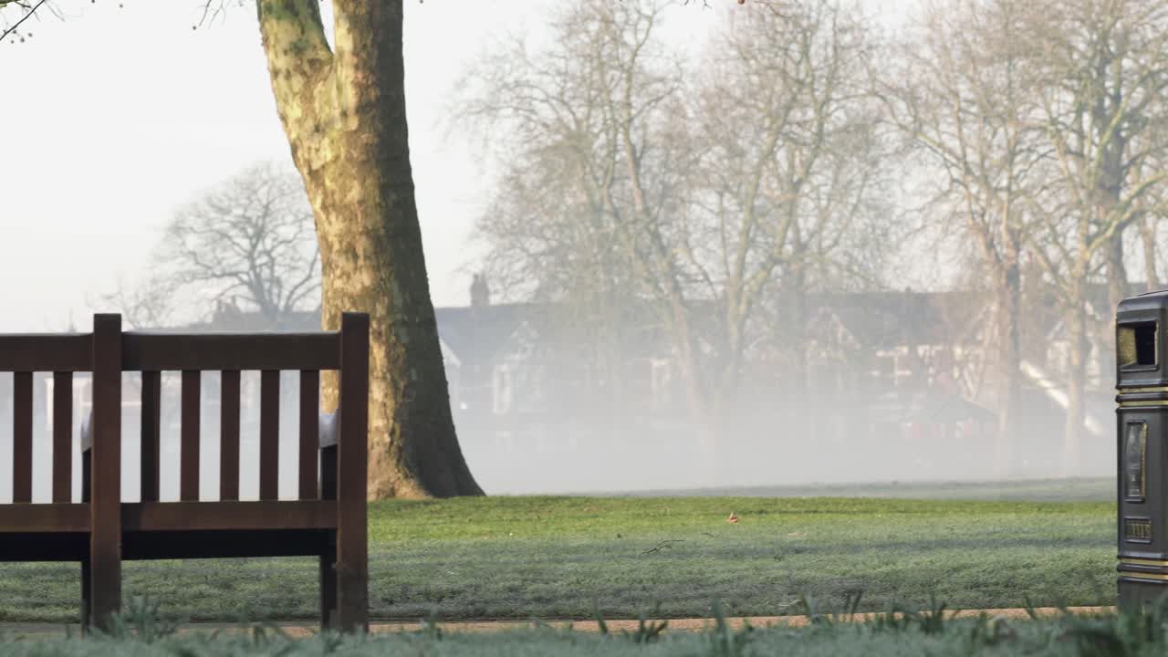 A person is passing by in the foggy landscape of Queen's Park.