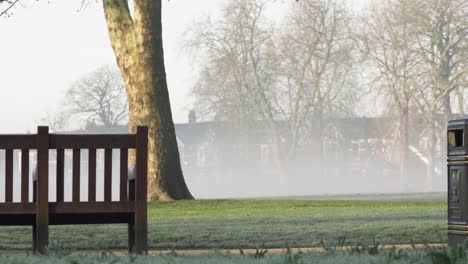 a person is passing by in the foggy landscape of queen's park.