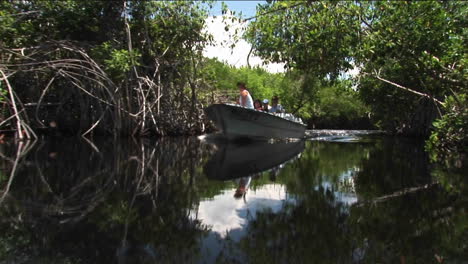 un bote a motor se desliza sobre un río en un área de humedales