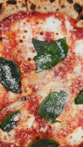 close-up of a margherita pizza