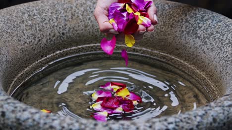 rose petals falling into water