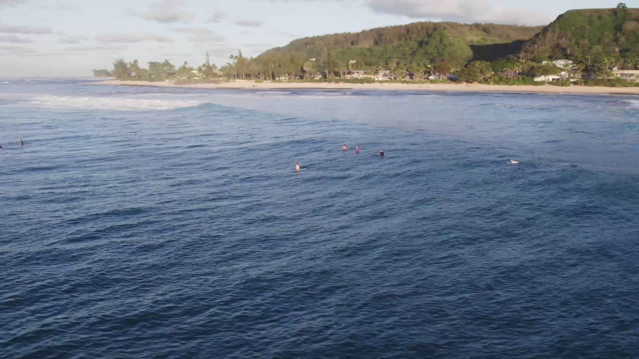 Surfere padler og venter på bølger i det rolige morgenlyset ved North Shore, Oahu, omgitt av milde bølger og frodig grøntområde.