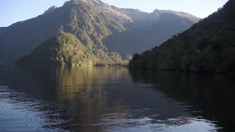 early mornng cruise on the doubtful sound