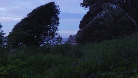 witness the enchanting sight of a cliff framed by lush trees at the break of dawn, capturing the serene beauty of a sunrise amidst nature's embrace