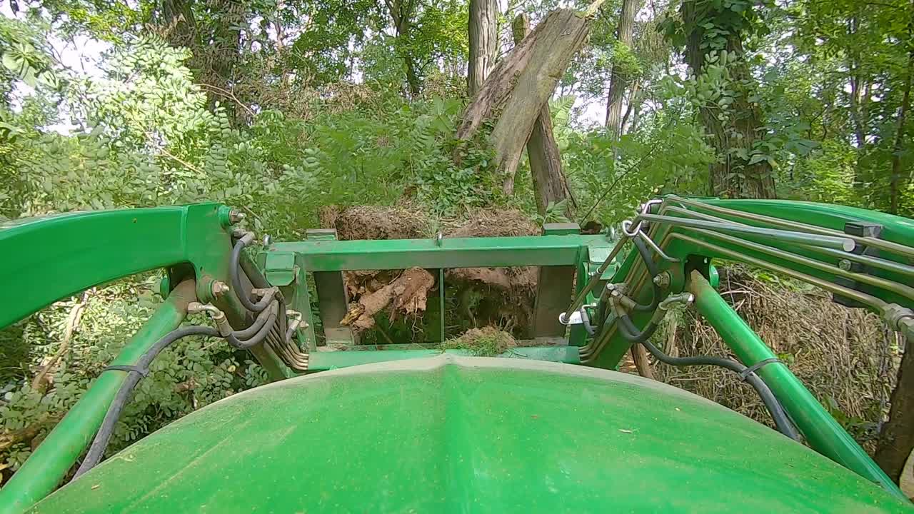 숲 속에 뿌리가 있는 나무 그루터기를 옮기기 위해 포크가 있는 로더를 사용하는 장비 운영자의 느린 포브