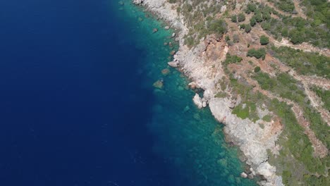 top down aerial view of rocky sea shore with calm blue water and deforested forest, drone shot