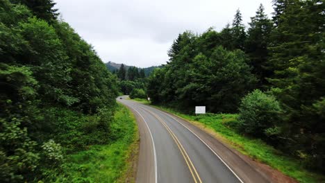 aerial flight along highway road through beautiful lush green forest along coast