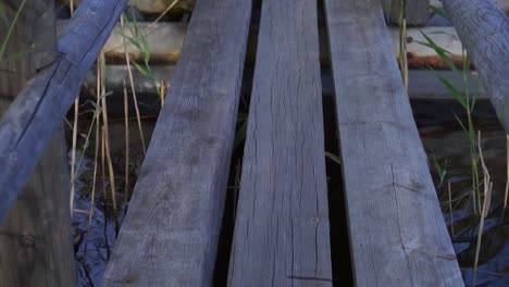 Sendero-Para-Caminar-En-El-Lago-De-Anidación-De-Aves