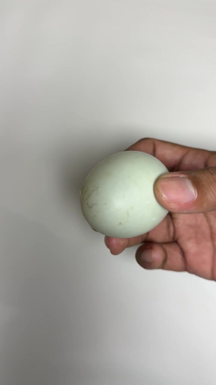 Hand Holding a Speckled Light Blue Egg on White Background