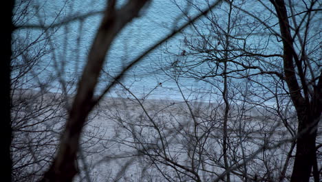 undulating-sea-waves-against-the-background-of-branches,-contrasting-contours