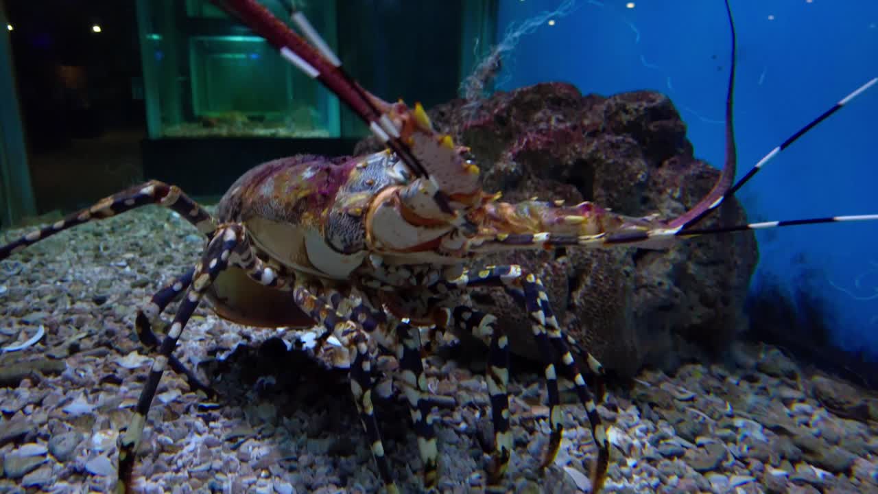 작은 liuqiu의 최고의 전망