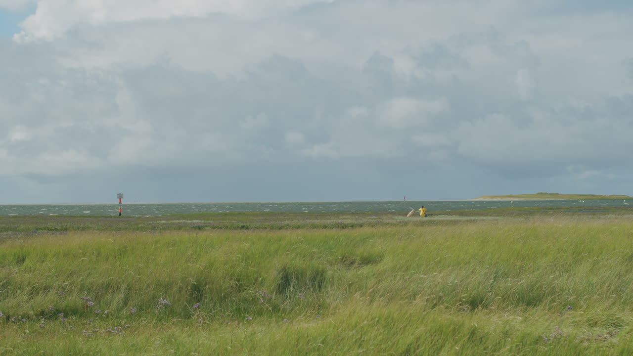 바다에서 개와 함께 앉아있는 노란색 재 ⁇ 을 입은 여성의 넓은  ⁇