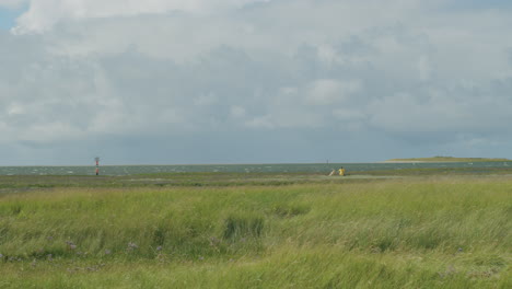 Wide-shot-of-a-woman-with-a-yellow-jacket-sitting-with-her-dog-at-the-sea