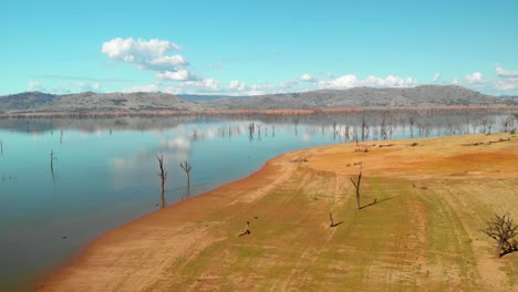 Vista-Aérea-Sobre-árboles-Secos-Y-Muertos-Y-El-Espejo-Del-Lago-Hume,-Día-Soleado,-En-Victoria,-Australia---Dolly,-Drone-Shot