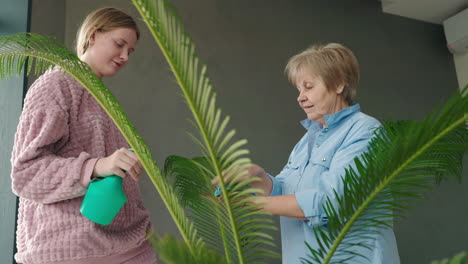 grandmother and granddaughter caring for a houseplant