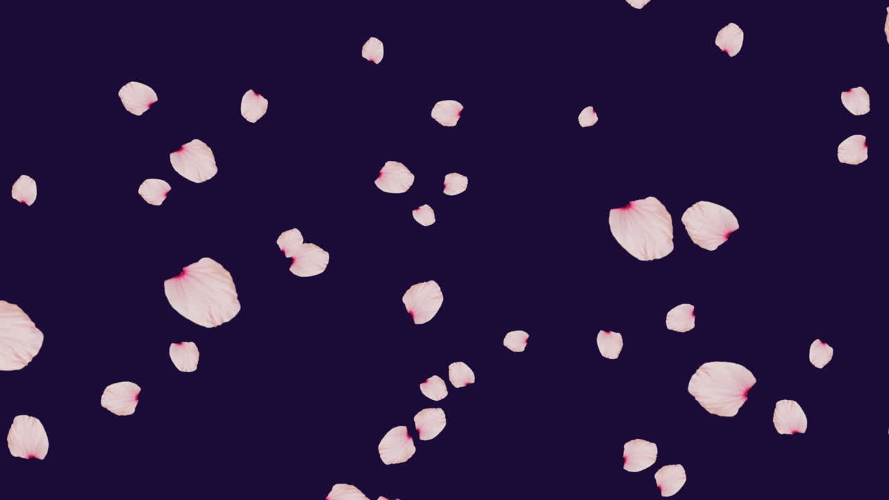 파란색 배경에  꽃잎의 애니메이션