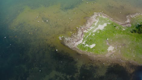 vista aérea de arriba hacia abajo del fondo marino