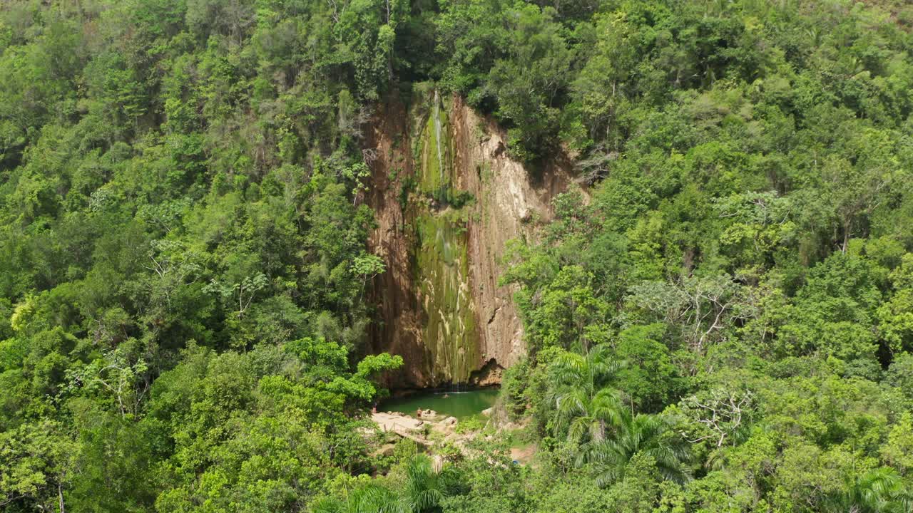 cerca de la maravillosa cascada tropical el limón con mucho musgo y agua humeante,cascada en la república dominicana de la península de samaná
