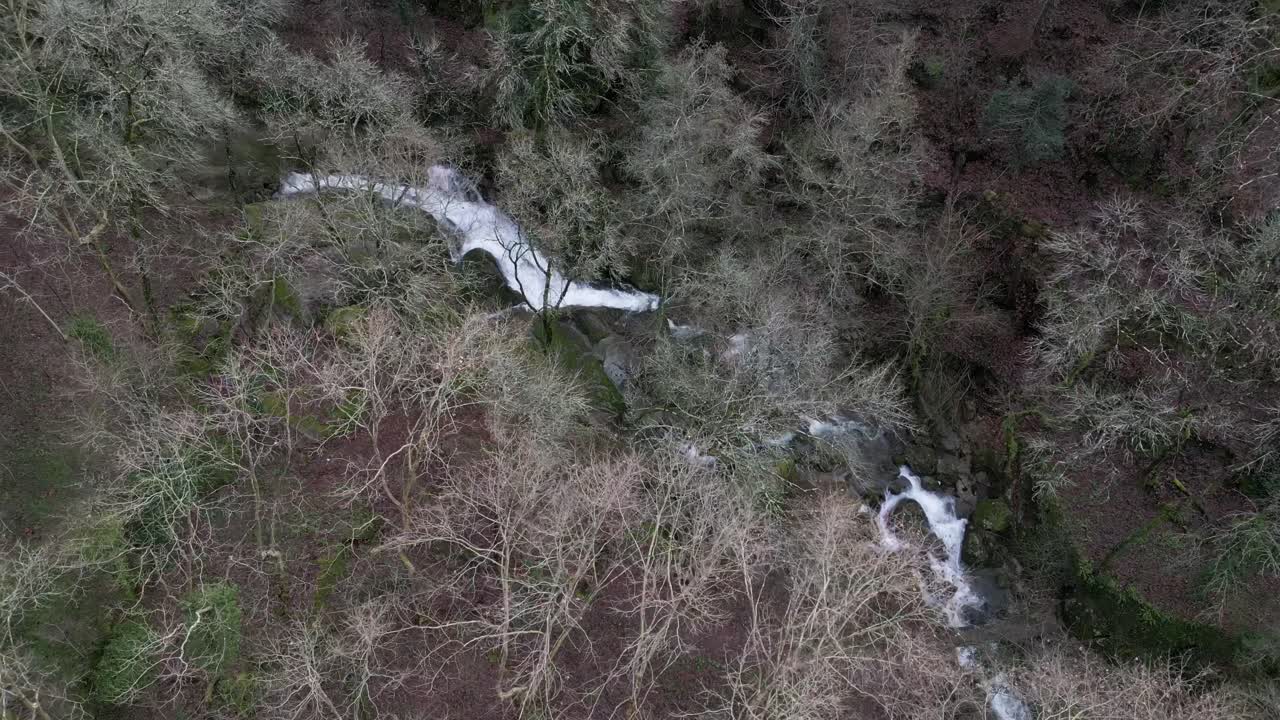 vista aérea de un arroyo a través del bosque de felgueiras, portugal