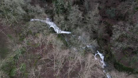 aerial view of stream through felgueiras forest, portugal